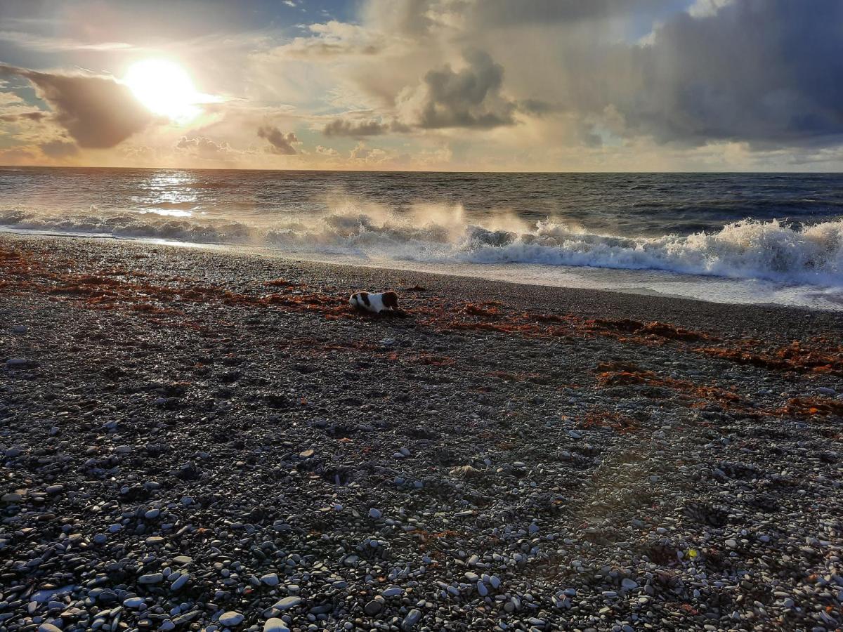 Cliff Haven Villa Borth Buitenkant foto